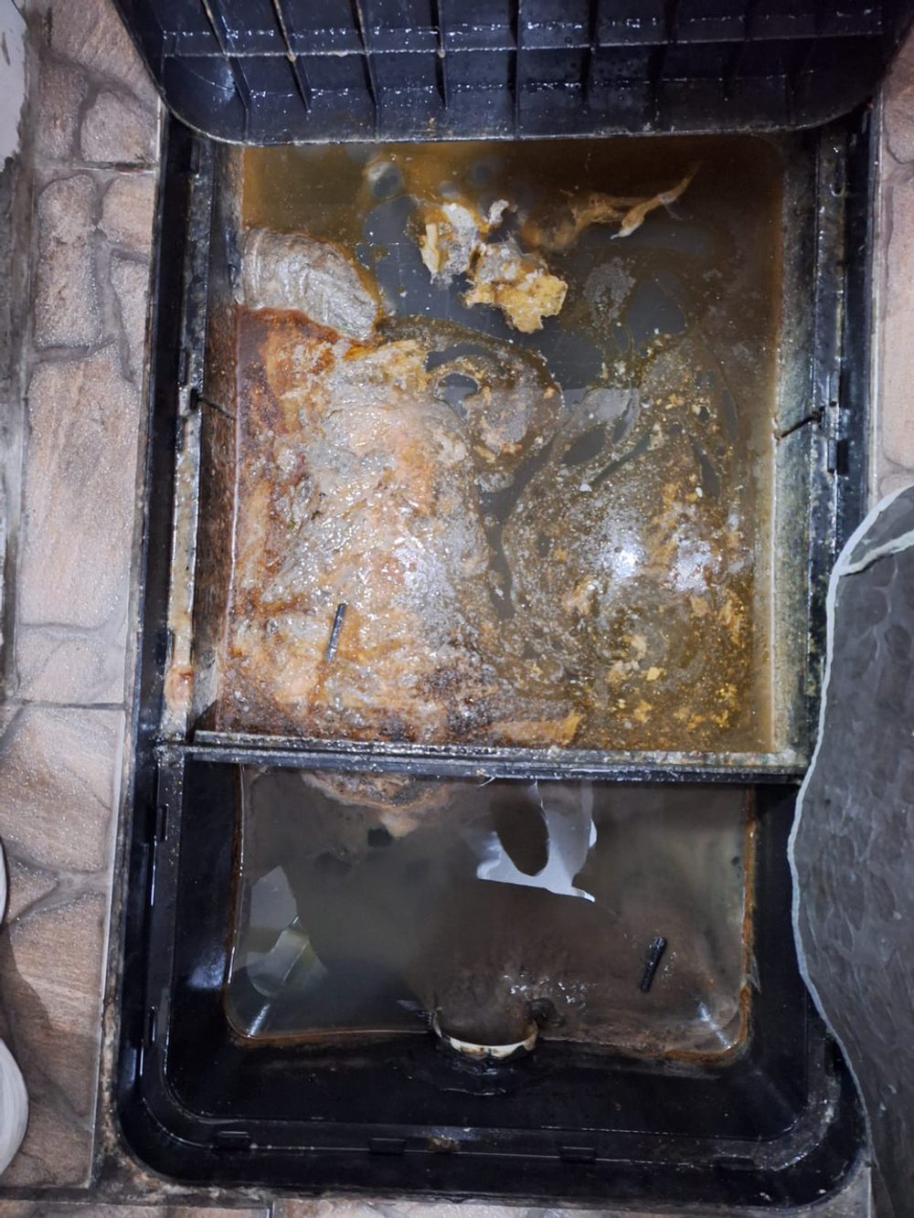 Caixa de gordura de restaurante antes do tratamento — gordura espessa acumulada